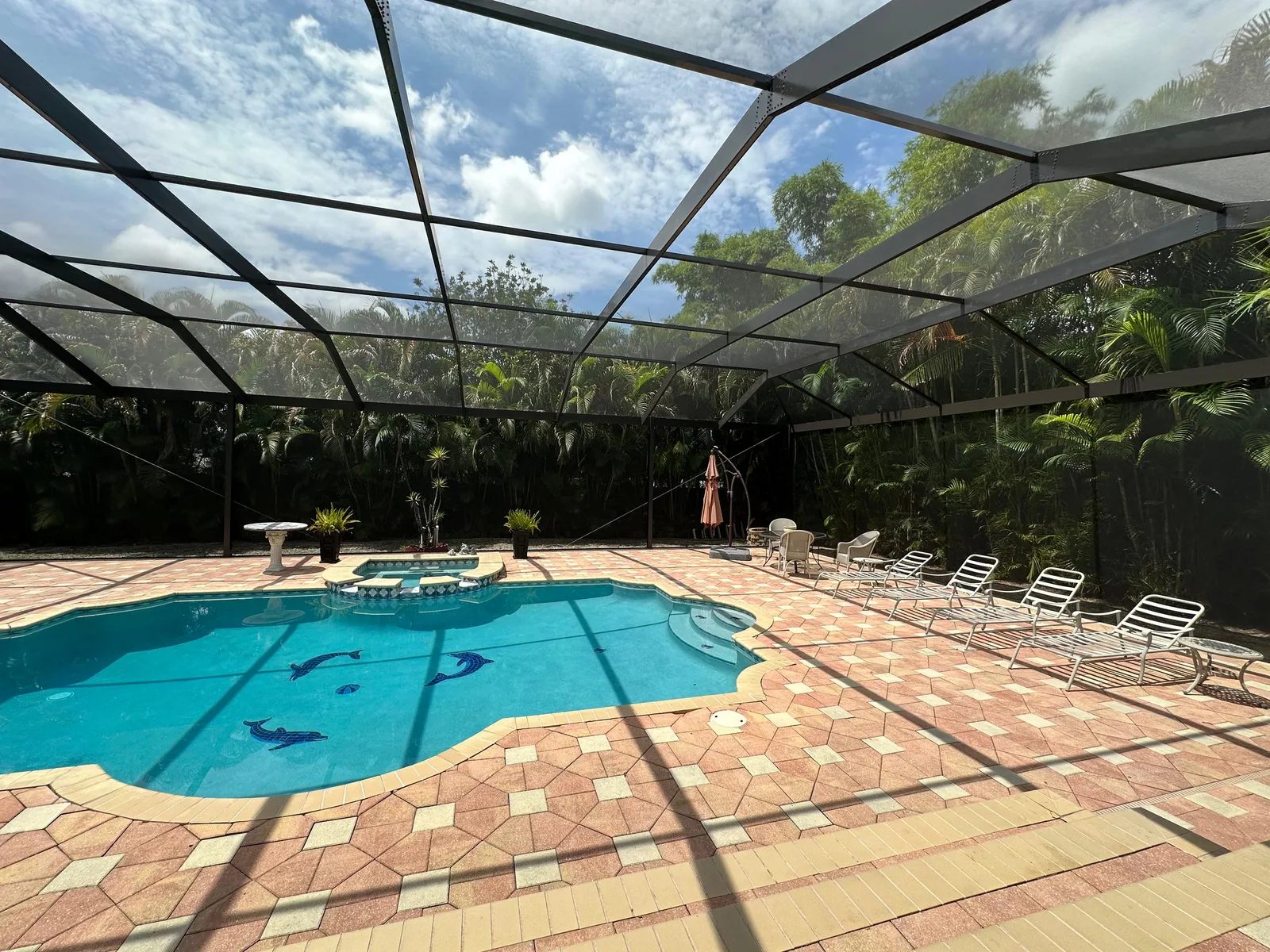 After — same pool fully rescreened with fresh aluminum screen panels and new pool cage, Florida